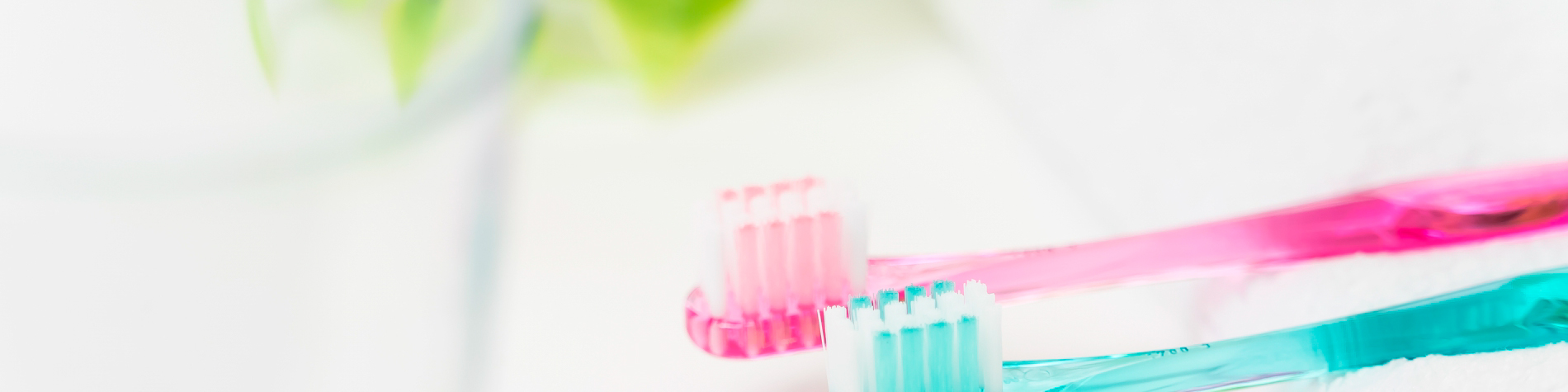 佐野市の歯医者さん　安藤歯科医院