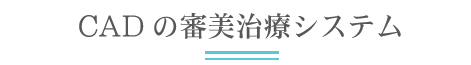 CAD審美治療システム