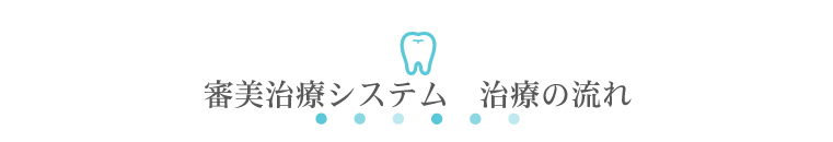 審美治療システム　治療の流れ