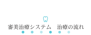 審美治療システム　治療の流れ